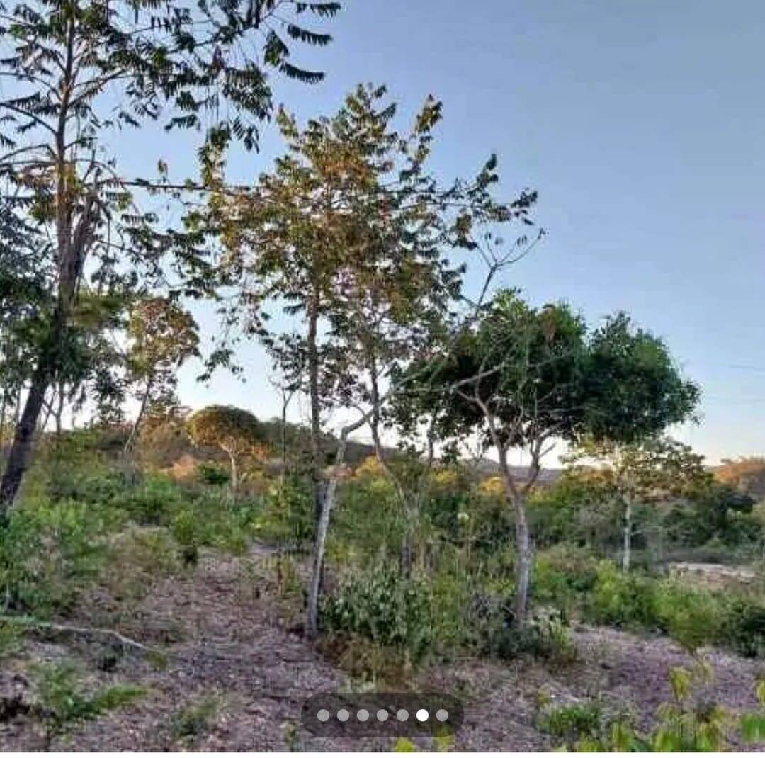 Vendo Fazenda em Mimoso de Goiás - Oportunidade Única!
