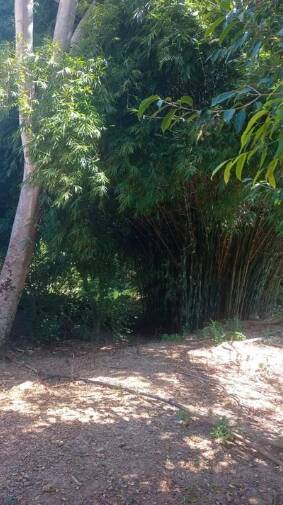 Terreno à venda, 80m² - Foto 17