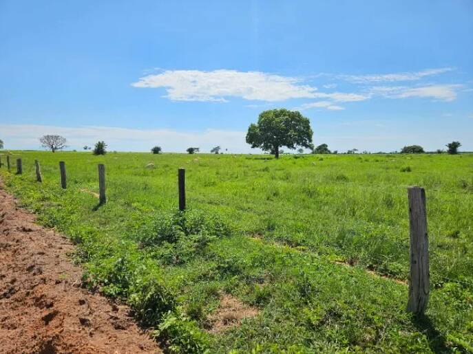 Terreno à venda, 11190000m² - Foto 2