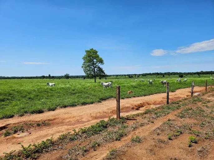Terreno à venda, 11190000m² - Foto 3