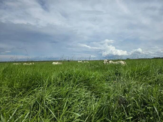 Terreno à venda, 11190000m² - Foto 5