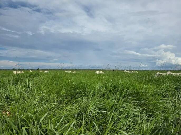 Terreno à venda, 11190000m² - Foto 12