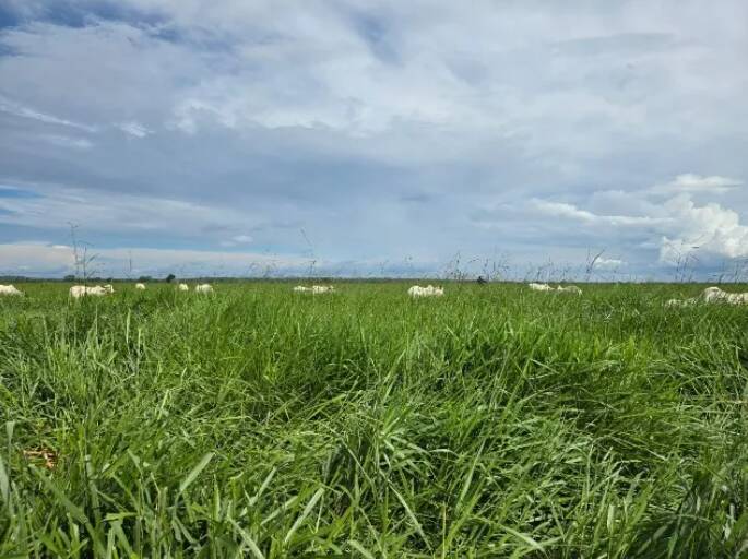 Terreno à venda, 11190000m² - Foto 13