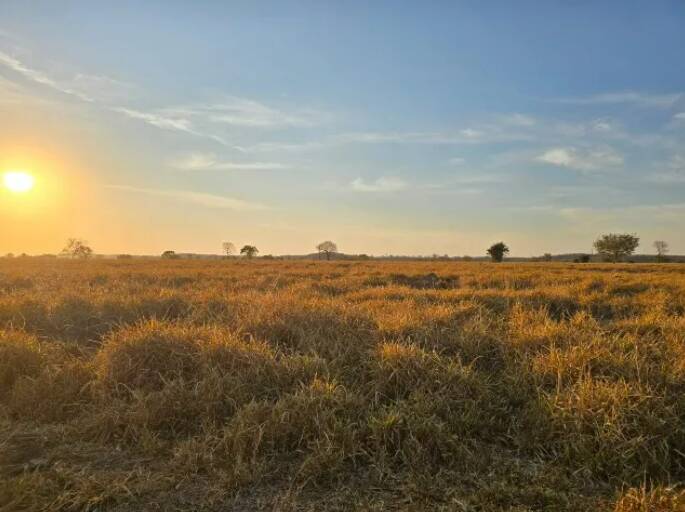 Terreno à venda, 11190000m² - Foto 16