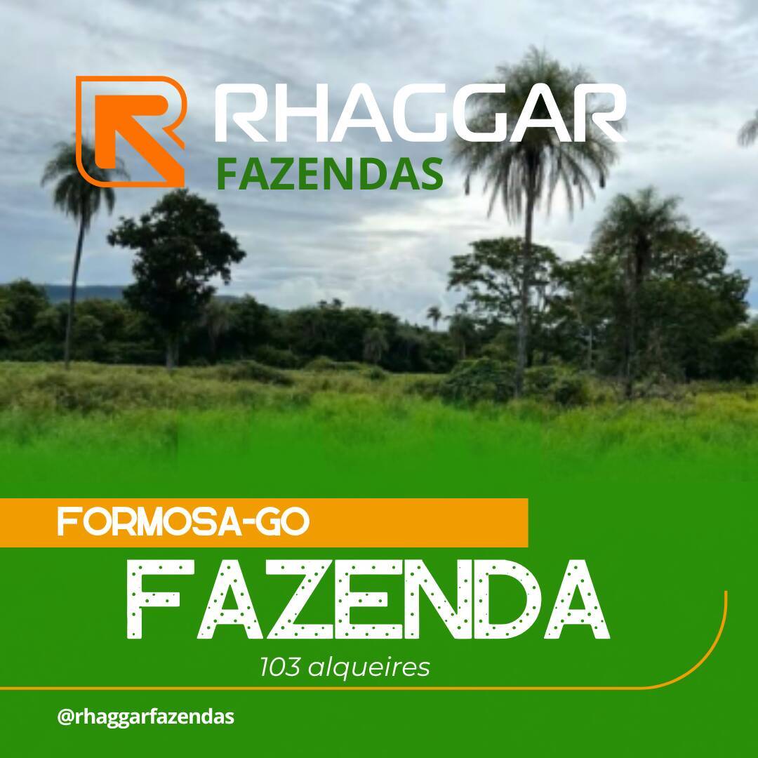 Sua Oportunidade de Investimento em Formosa-GO
