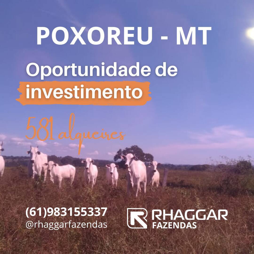 Grande Oportunidade: Fazenda de 581 Alqueires em Poxoreu-MT
