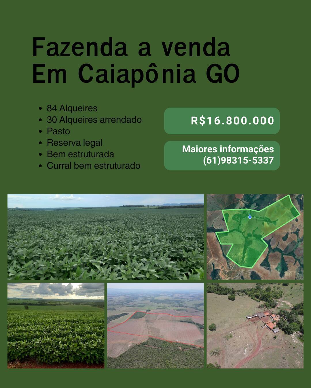 Fazenda à Venda - Oportunidade Única em Caiapônia!