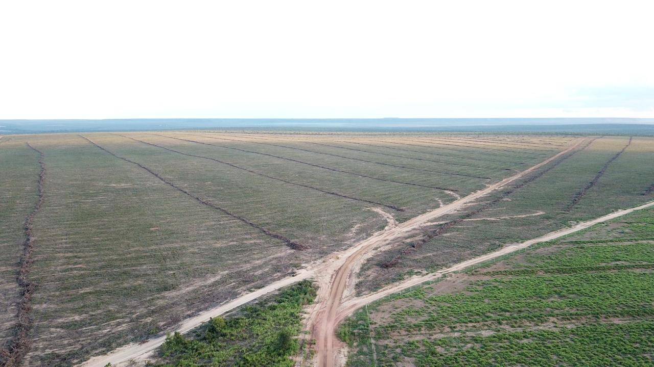Terreno à venda, 1100m² - Foto 12