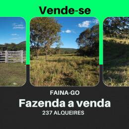 Fazenda à Venda em Faina - 237 Alqueires de Oportunidade!