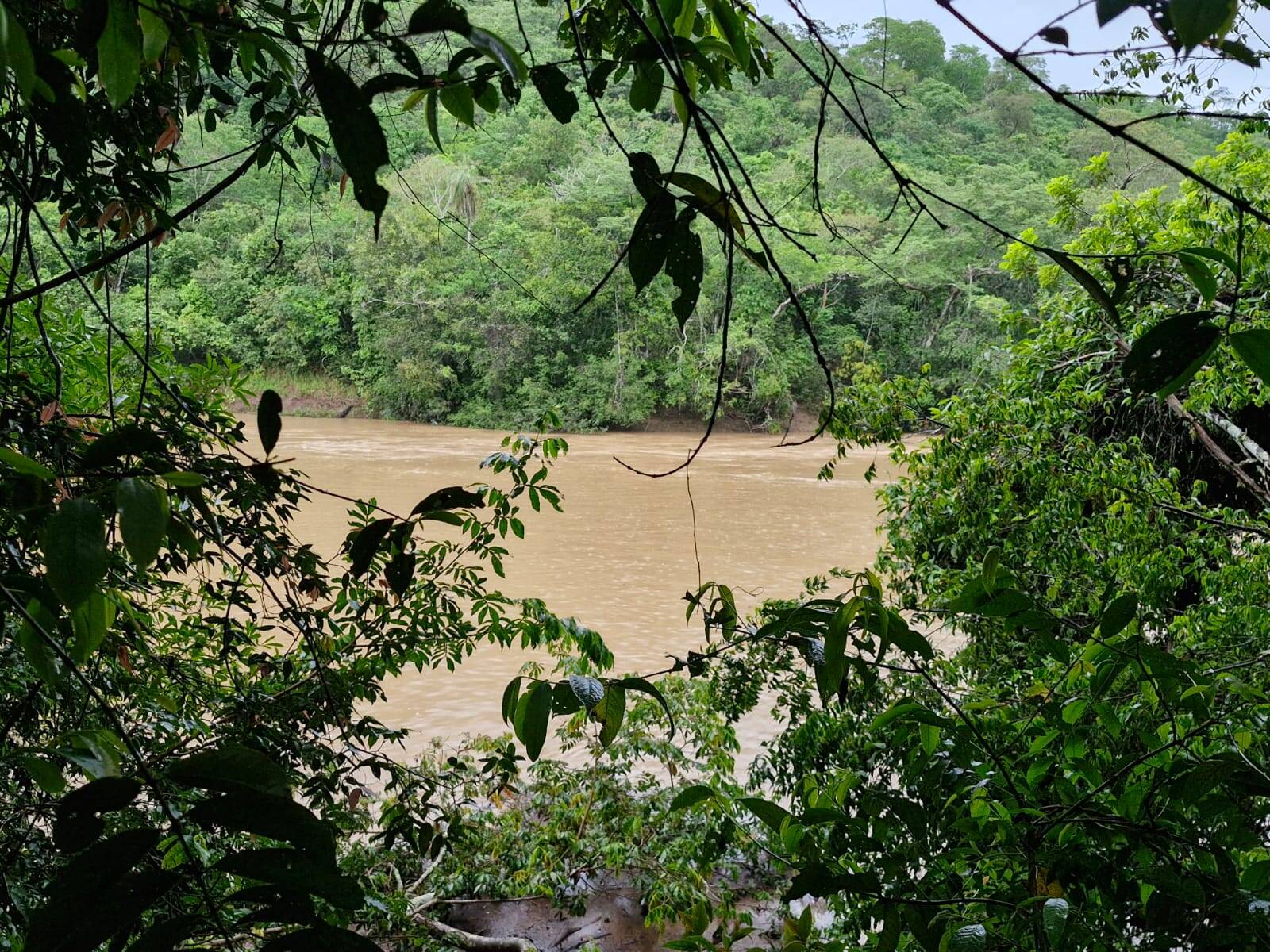 Terreno, 64 m² - Foto 4