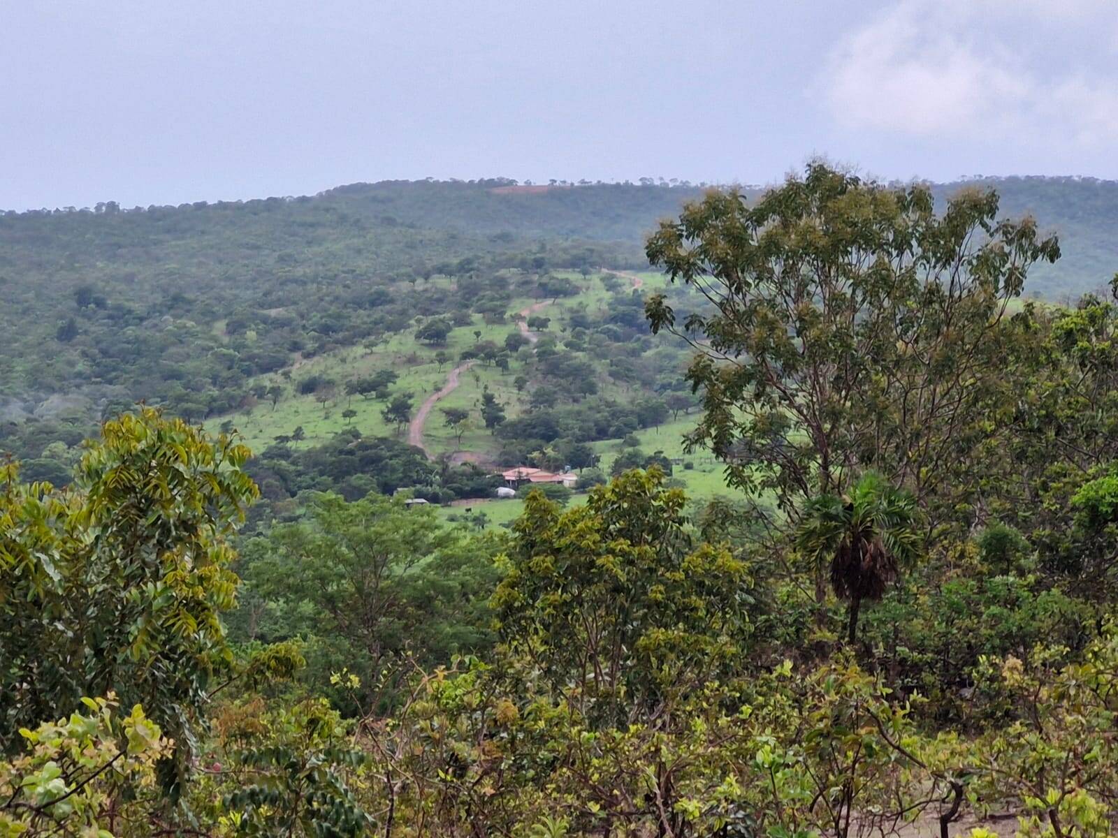 Terreno, 64 m² - Foto 5