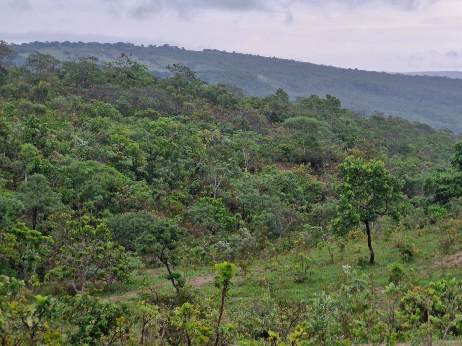 Terreno, 64 m² - Foto 6