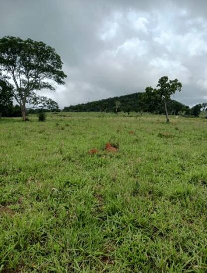 Terreno, 18 m² - Foto 2