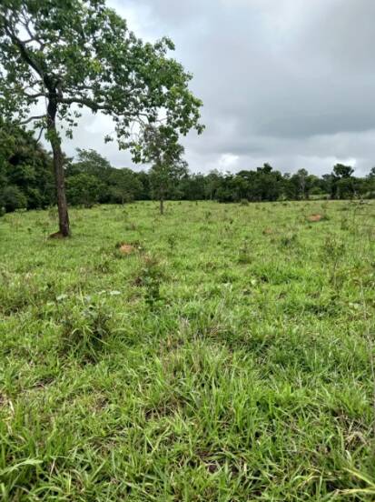 Terreno, 18 m² - Foto 3