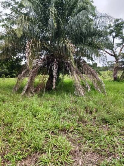 Terreno, 18 m² - Foto 5