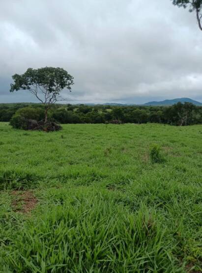 Terreno, 18 m² - Foto 8