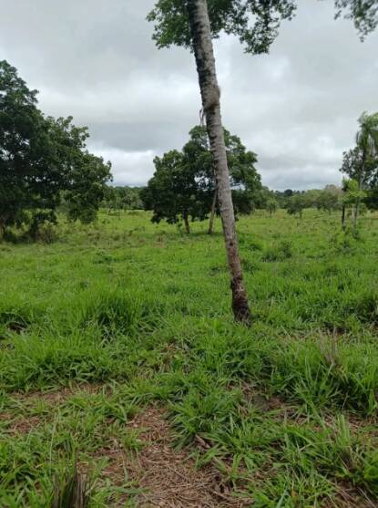 Terreno, 18 m² - Foto 10