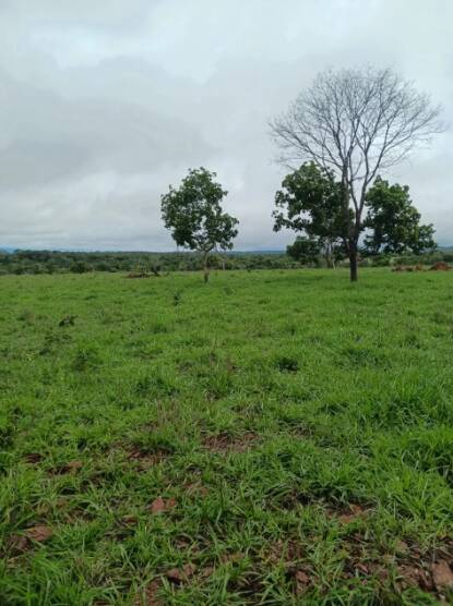 Terreno, 18 m² - Foto 11