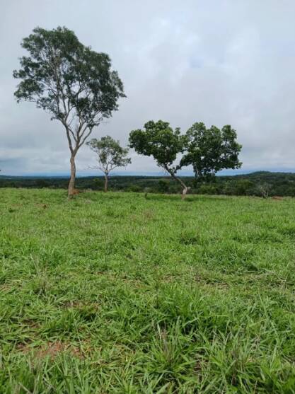 Terreno, 18 m² - Foto 12