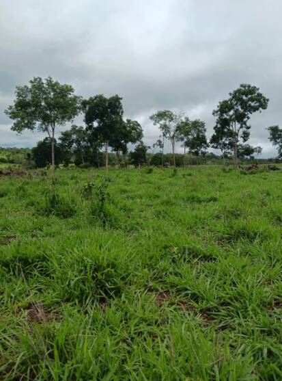 Terreno, 18 m² - Foto 13