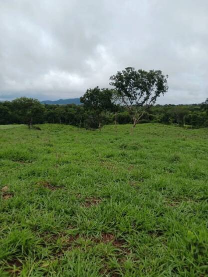 Terreno, 18 m² - Foto 14