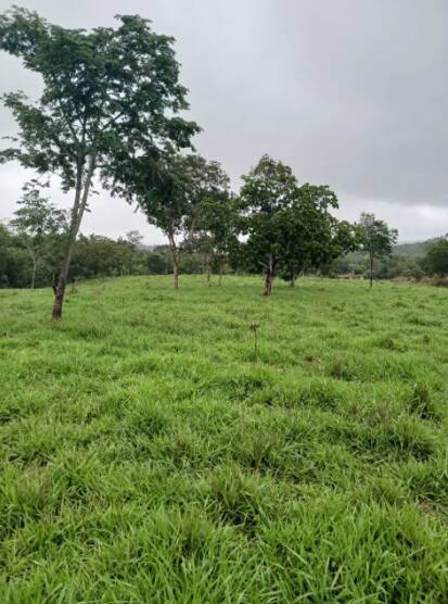 Terreno, 18 m² - Foto 17