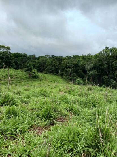 Terreno, 18 m² - Foto 19