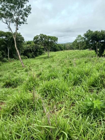 Terreno, 18 m² - Foto 20