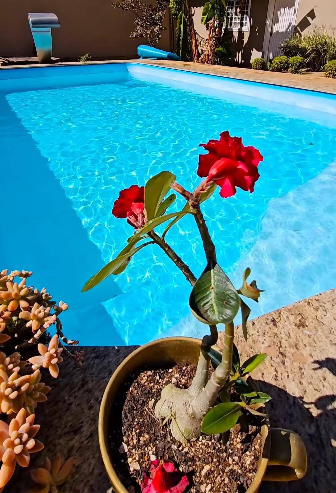 Casa, 4 quartos, 300 m² - Foto 2