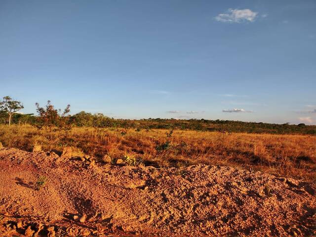 Fazenda para Venda em Arinos - 4