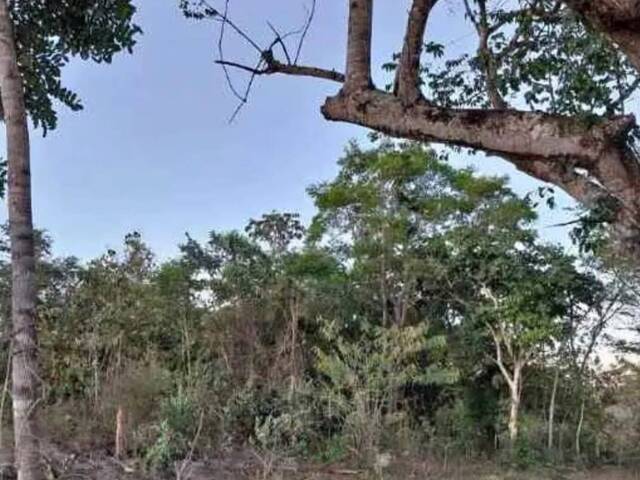 #86 - Chácara para Venda em Mimoso de Goiás - GO - 3