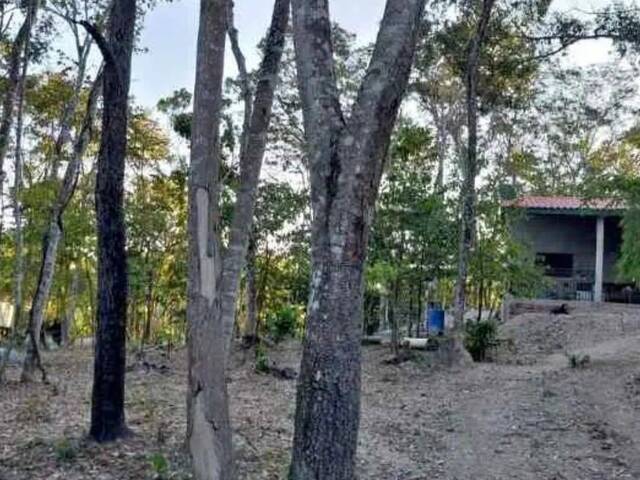 Chácara para Venda em Mimoso de Goiás - 5
