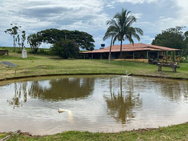 #90 - Fazenda para Venda em Santa Cruz de Goiás - GO - 1