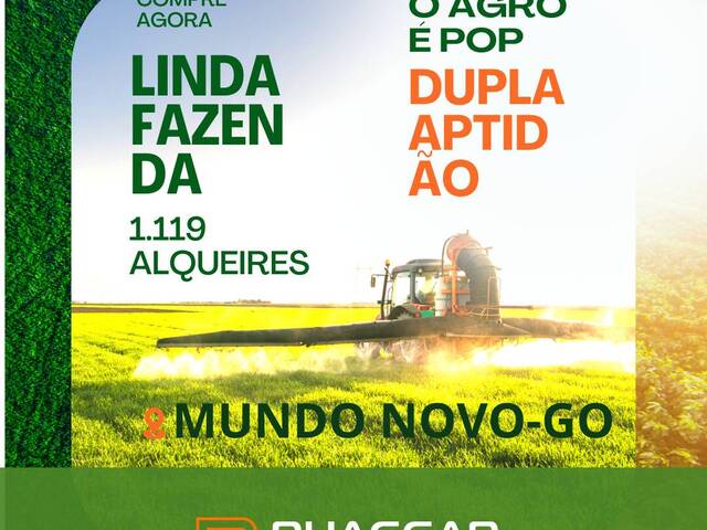 #92 - Fazenda para Venda em Mundo Novo - GO - 1