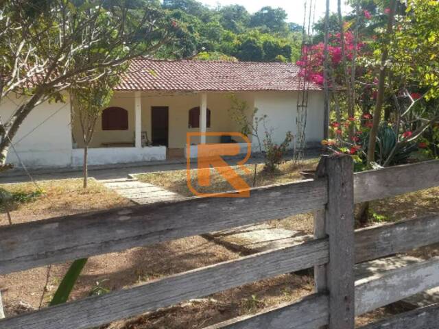 #98 - Fazenda para Venda em Aragoiânia - GO - 2