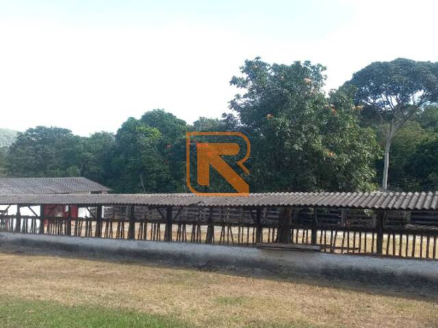 Fazenda para Venda em Aragoiânia - 5