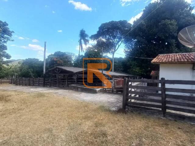 #98 - Fazenda para Venda em Aragoiânia - GO - 3
