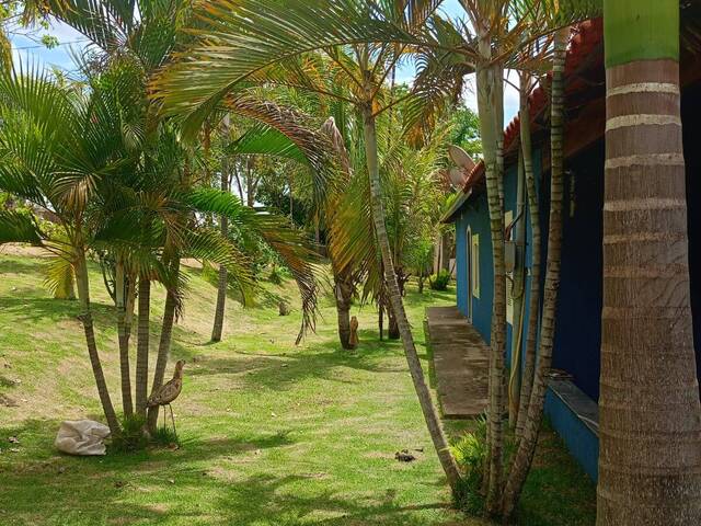 Fazenda para Venda em Luziânia - 4