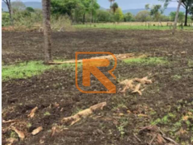 #100 - Fazenda para Venda em Formosa - GO - 3