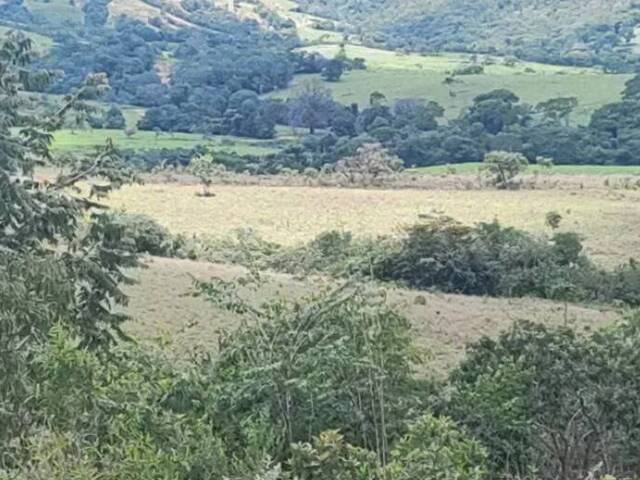 Chácara para Venda em Luziânia - 4