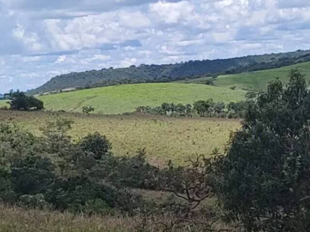 Chácara para Venda em Luziânia - 5