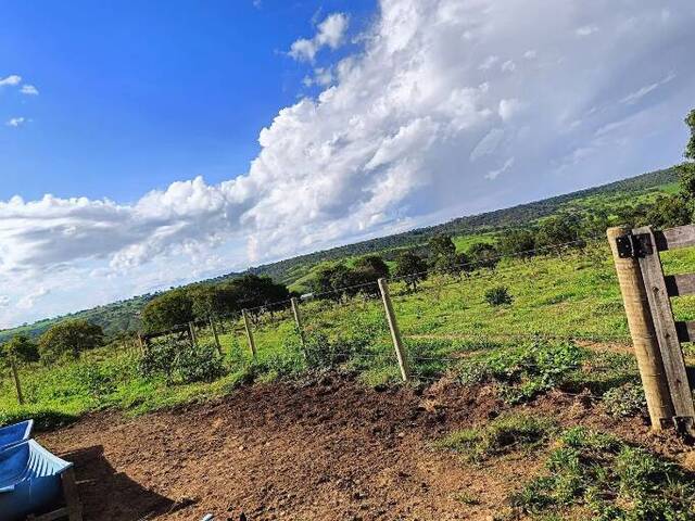 Sítio para Venda em Luziânia - 5