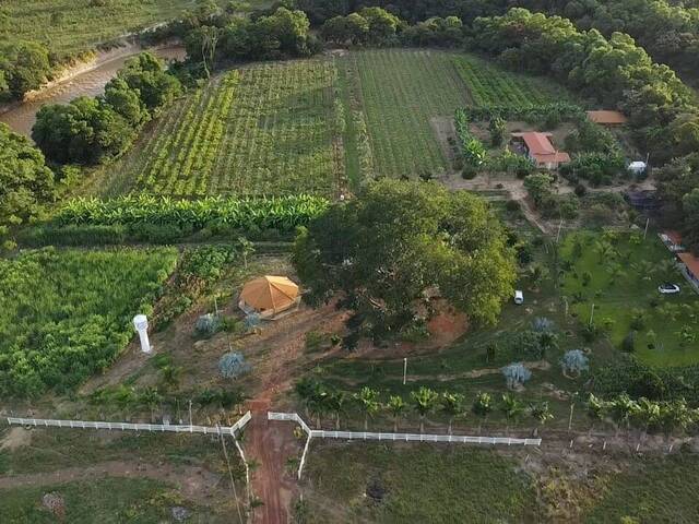 #104 - Sítio para Venda em Buritis - MG - 3