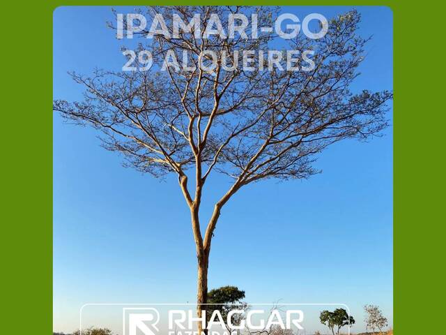 #106 - Fazenda para Venda em Ipameri - GO - 1