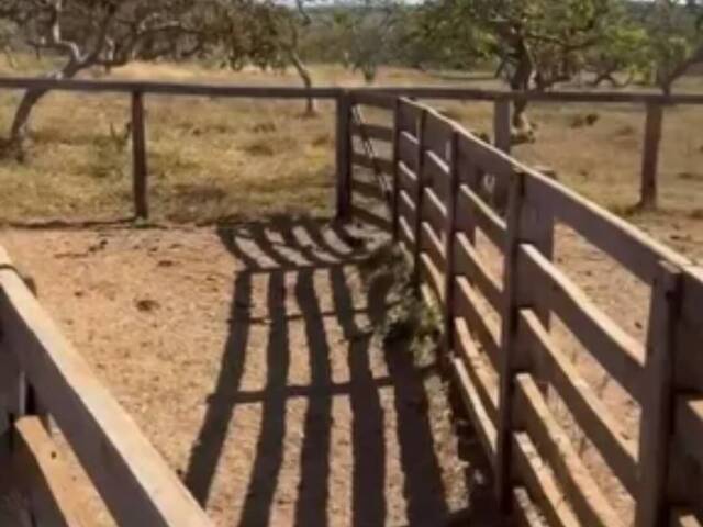 #106 - Fazenda para Venda em Ipameri - GO - 3