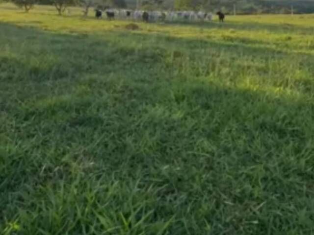 Fazenda para Venda em Ipameri - 4
