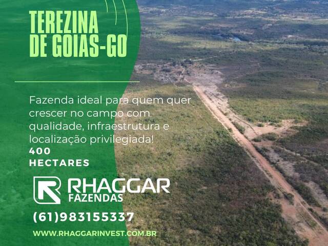 #107 - Fazenda para Venda em Teresina de Goiás - GO - 1