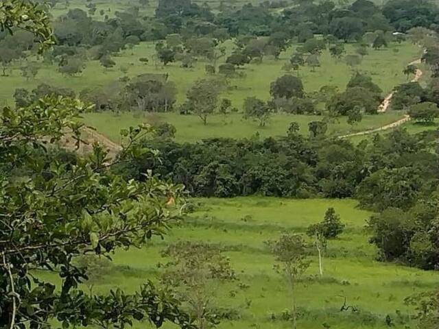#108 - Chácara para Venda em Teresina de Goiás - GO - 2