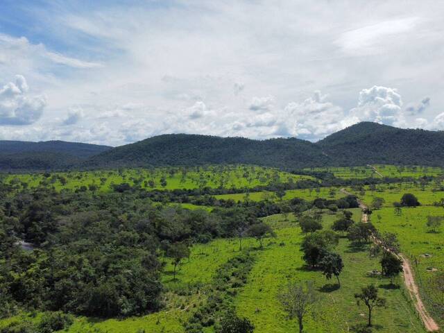 Chácara para Venda em Teresina de Goiás - 4