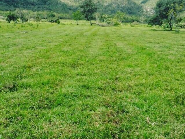 Chácara para Venda em Teresina de Goiás - 5